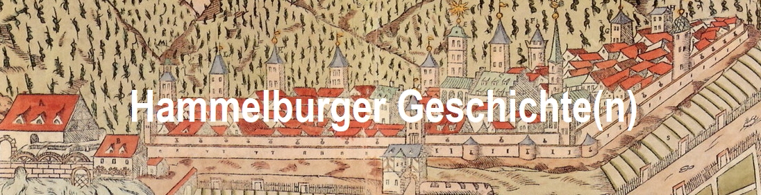 Hammelburger Geschichte